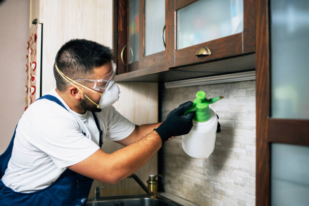 Best Pest Prevention Services  in Pilot Point, TX