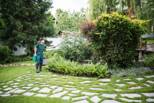 Best Affordable Pest Control Services  in Pilot Point, TX