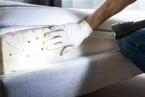 Pilot Point, TX Pest Control Company